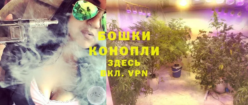 MEGA маркетплейс  Егорьевск  Марихуана Ganja 